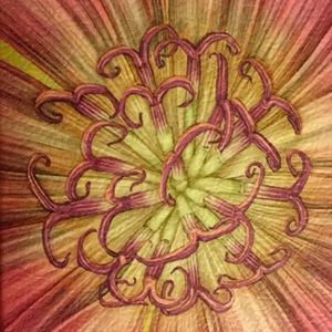 Meet your Posher, Annette